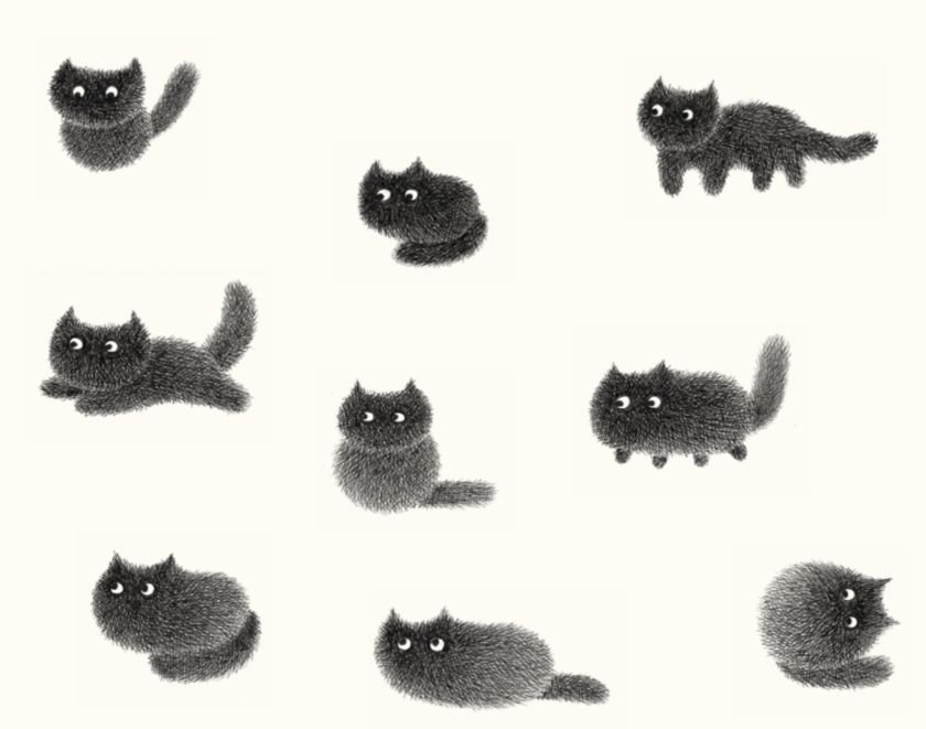 Shibu’s Tail will get you feeling creative