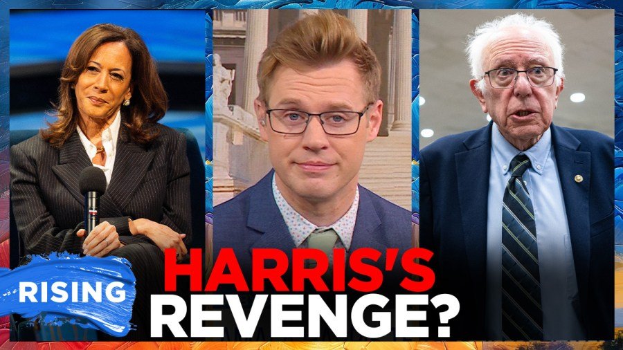 Kamala Harris teases 2028 presidential run, devastating Dems’ chances