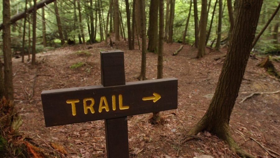 80-year-old becomes oldest woman to hike Appalachian Trail