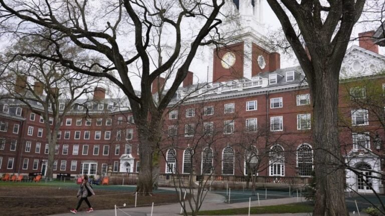 Harvard's unblinking hypocrisy: Dean denounces 'evil' police, 'whiteness'