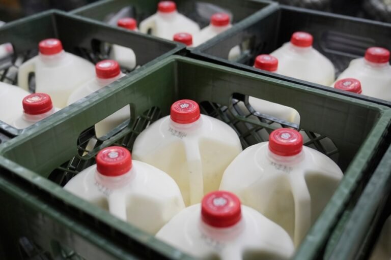 Federal SNAP benefits won't be paid in November: What happens next?