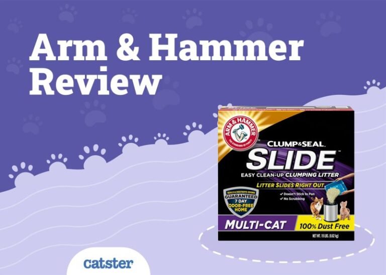 Arm and Hammer Cat Litter Review of 2025: Recalls, Pros & Cons
