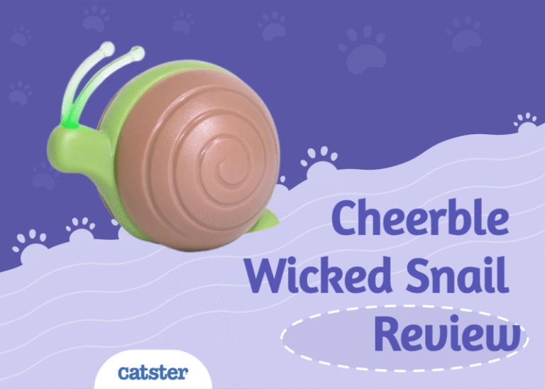 Cheerble Wicked Snail Review 2025: Our Expert’s Opinion