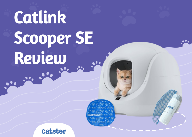 Catlink Scooper SE Review 2025: Improving Pet And Owner Lives Through Technology
