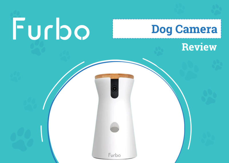 Furbo 360° Dog Camera Review 2025: Our Expert’s Opinion