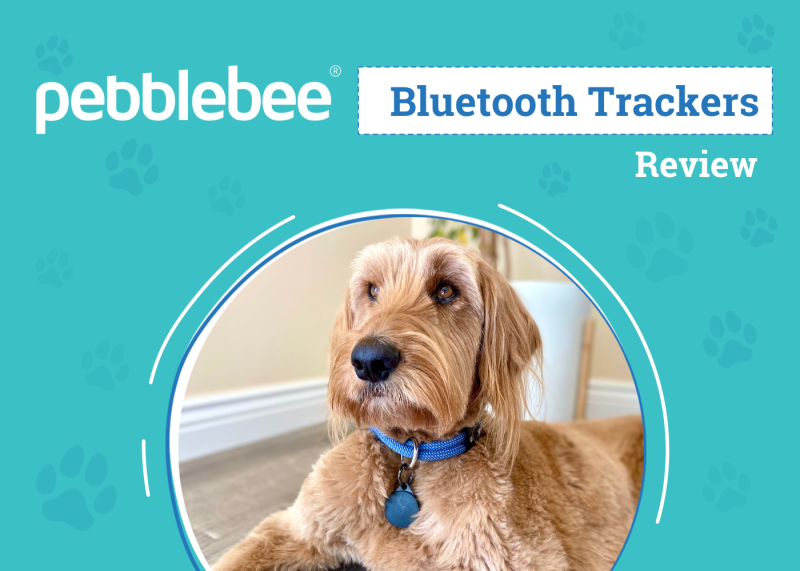 Pebblebee Bluetooth Tracker Reviews 2025: An Expert’s Breakdown