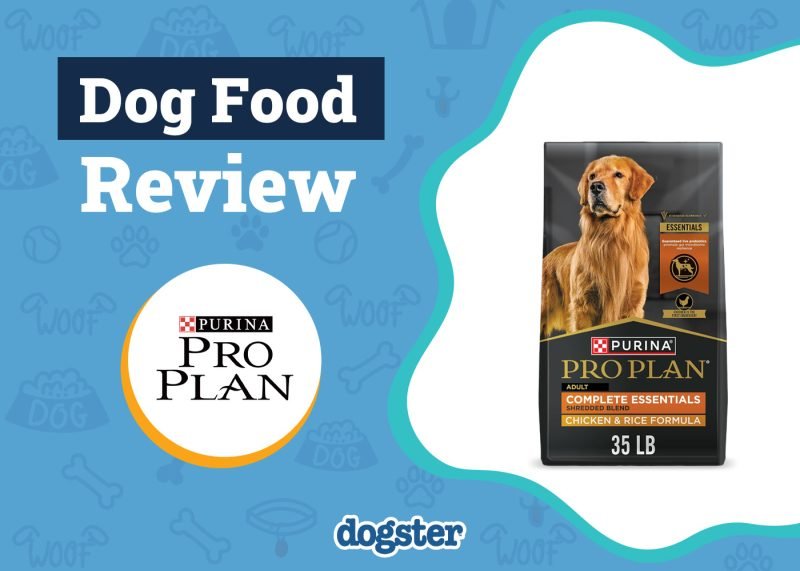 Purina Pro Plan Dog Food Review 2025: Pros & Cons and Recalls