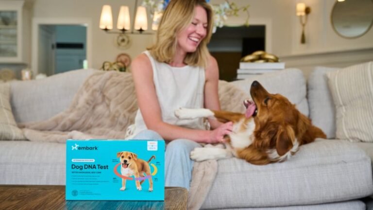 How DNA Testing Helps You Understand (and Love) Your Dog Even More
