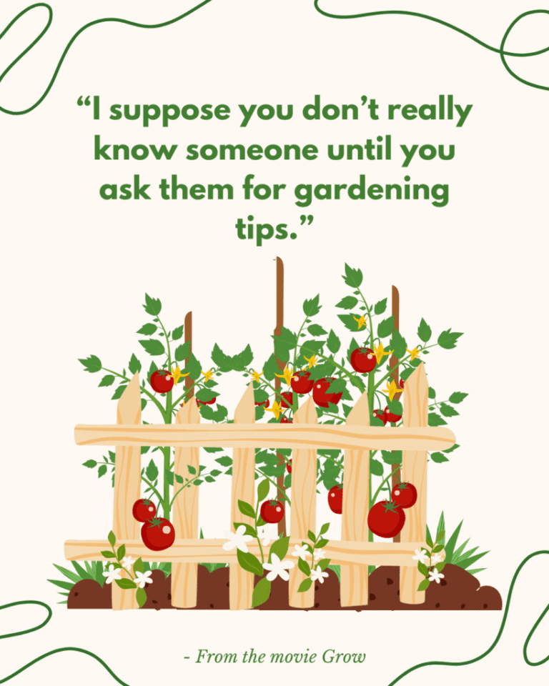 Asking for Gardening Tips…