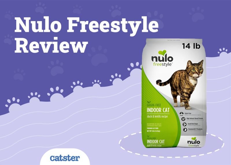Nulo Cat Food Review of 2025: Recalls, Pros & Cons
