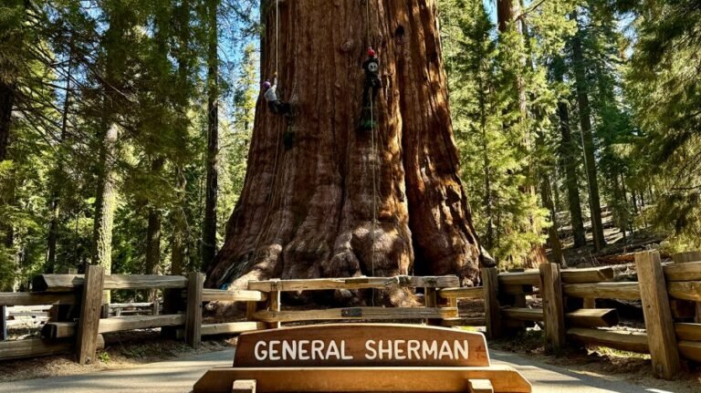 Hundreds of former NPS staffers say parks should close during shutdown