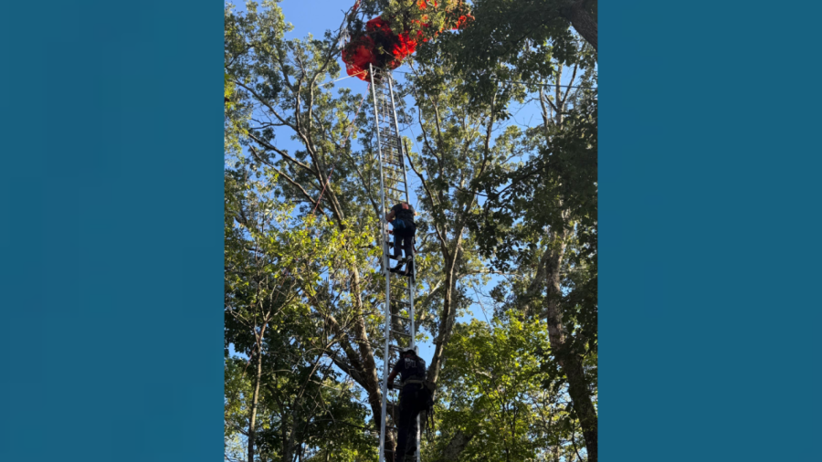 Instructor dead, student rescued after Tennessee skydiving incident