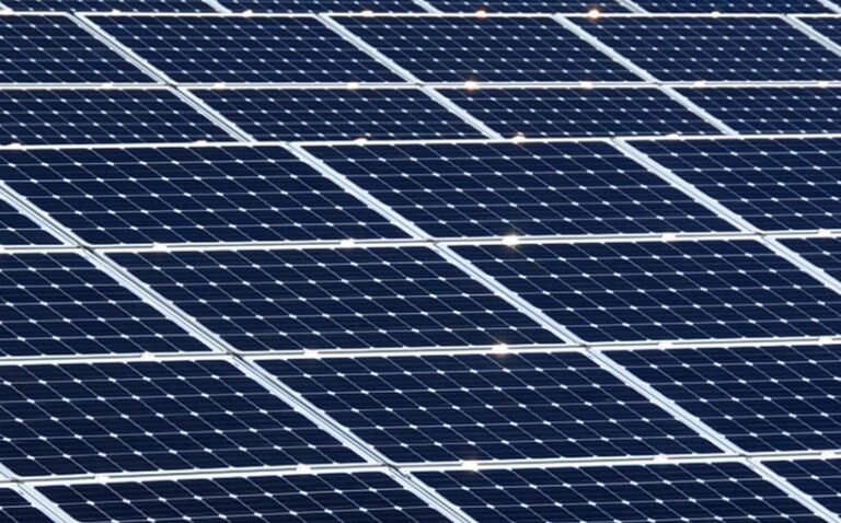 Sustainability Consultancy Aims at Guiding AEC Firms