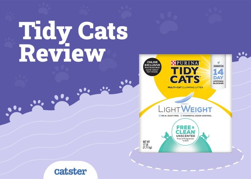 Tidy Cats Litter Review in 2025: Recalls, Pros & Cons