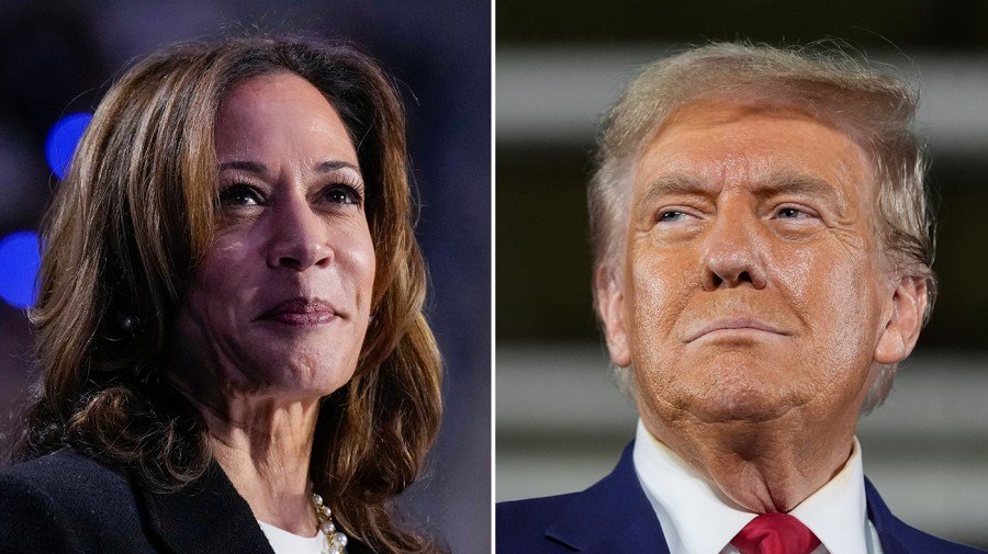 Harris blasts Trump ballroom as SNAP benefits cut off: 'Are you f‑‑‑ing kidding me?'