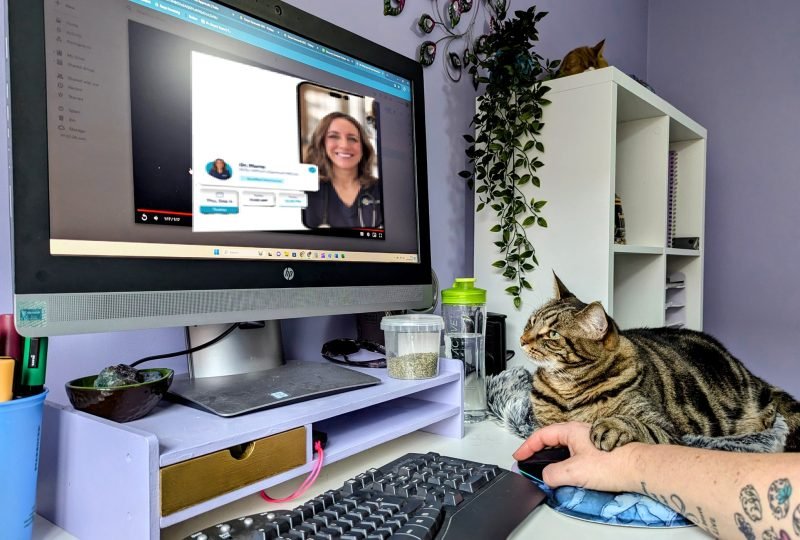 Could This Be the Future of Feline Chronic Illness Management? How Telehealth is Improving Cat Care