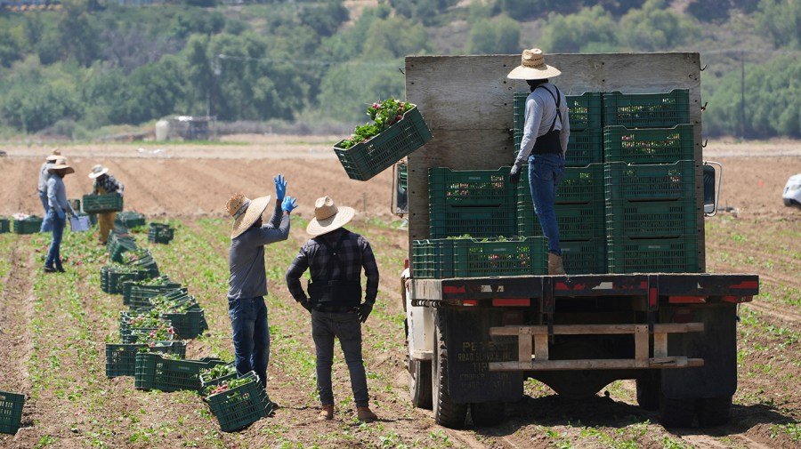 Rollins touts 'big announcement' as USDA readies to unfreeze $3B for farmers