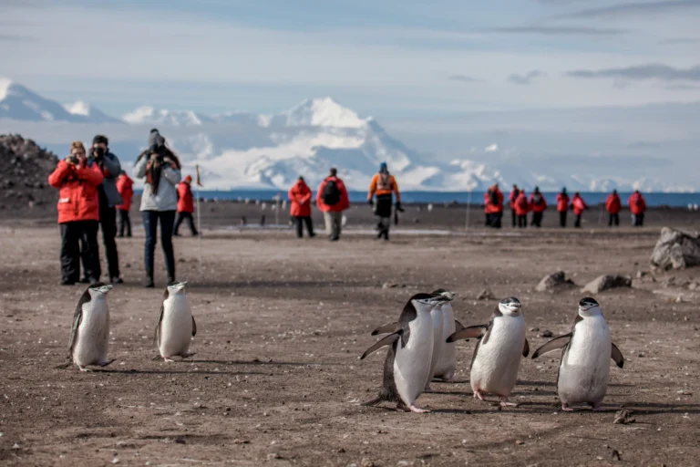 Nature calls: best G Adventures tours for wildlife lovers