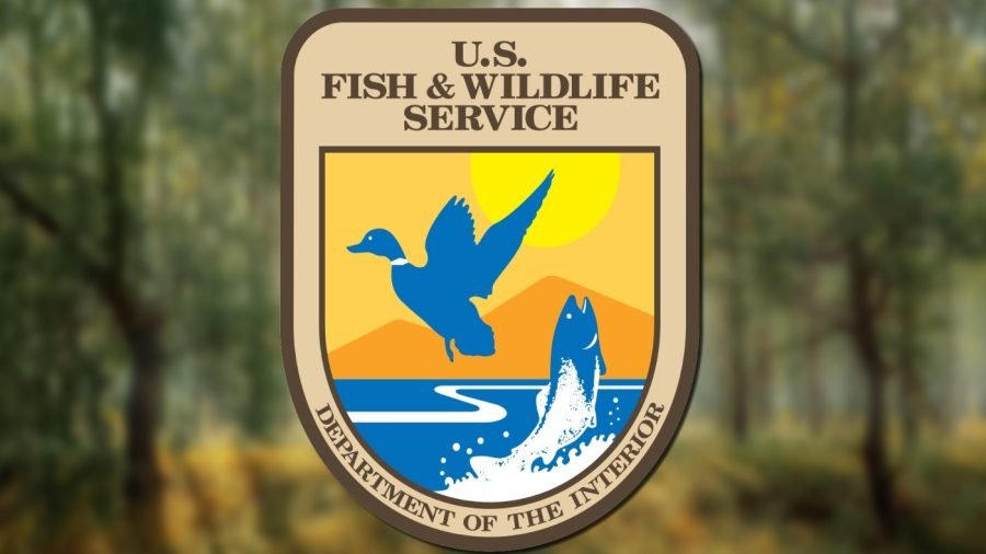 Planned Trump staffing cuts loom over National Park Service, Fish and Wildlife, Land Management
