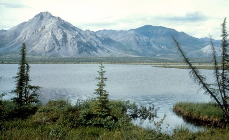 Trump approves contentious drilling, mining in Alaska