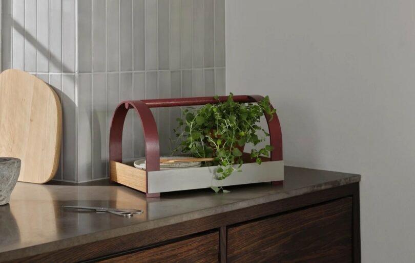 Gejst Elevates Everyday Rituals With Kydo Tray + Sina Shakers