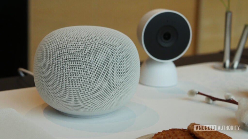 Google Home is hallucinating fictional identities