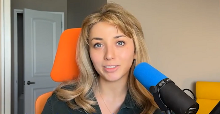 Progressive House candidate indicted amid Chicago-area ICE protests