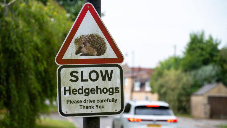 These Are The Pieces Of Car Advice You'd Give To Younger Drivers