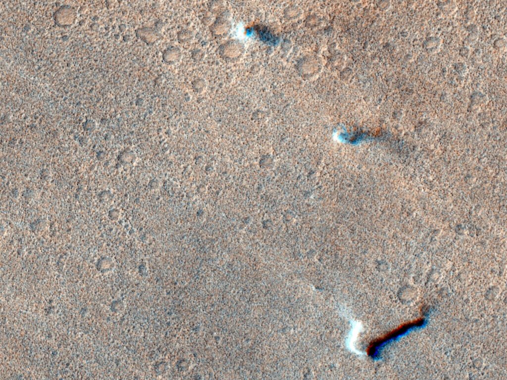Martian Dust Devils Reveal Dynamic Surface Winds