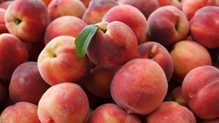 Peaches sold at Trader Joe's, Kroger recalled over listeria risk