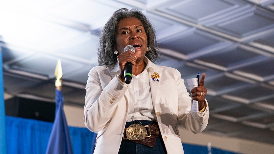 Whole Hog Politics: In Virginia, it's fundamentals versus vibesĀ