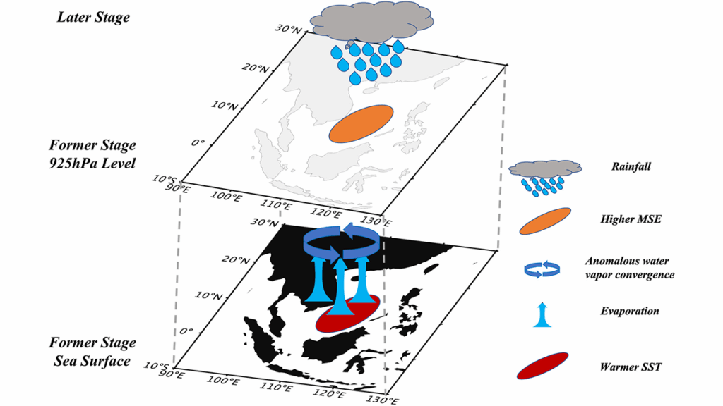 Marine Heatwaves Reshape Precipitation Patterns
