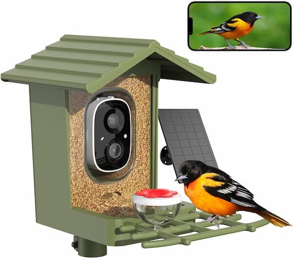 Smart Bird Feeder only $44.99 shipped!