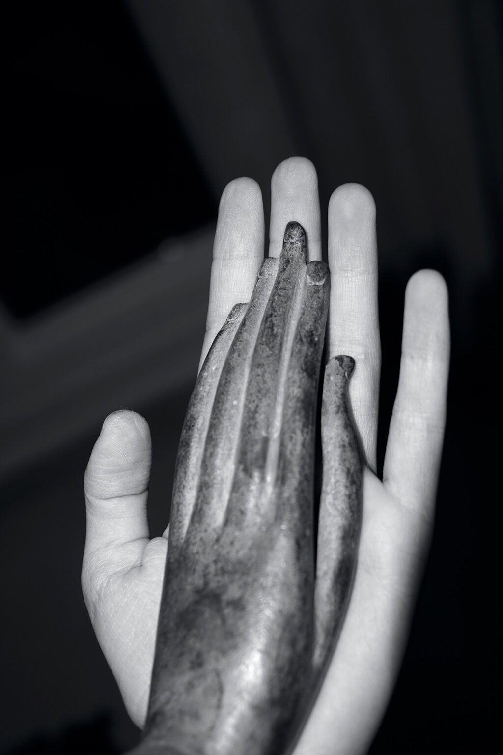 “Not Like This, You Moron!” by Photographer Hasti Najafi