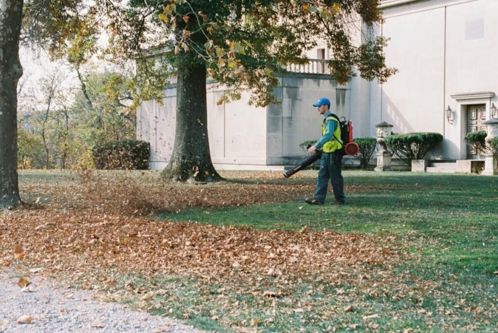 Top 10 Best Leaf Blowers for 2025: Power, Performance & Value