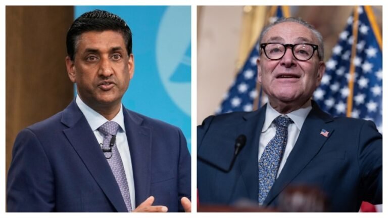 Democratic lawmaker: Schumer 'should be replaced'