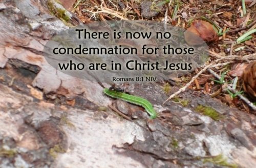 No Condemnation for Those in Christ Jesus – Romans 8:1-4