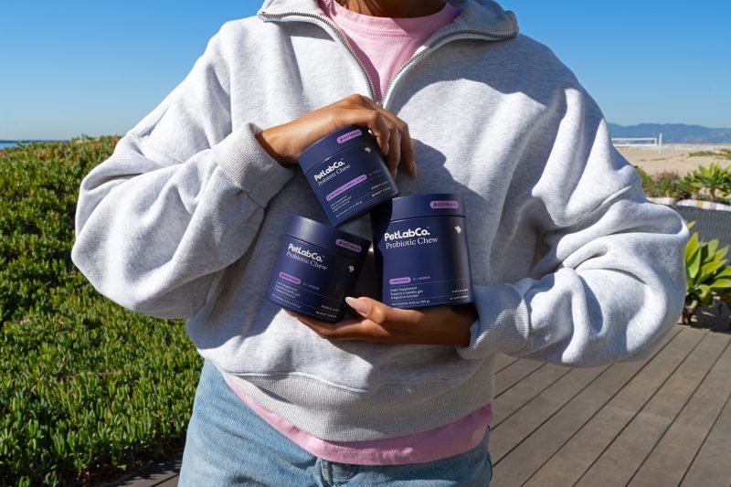 Gut Health Support For Dogs: How PetLabCo.’s Probiotics Chews Can Help