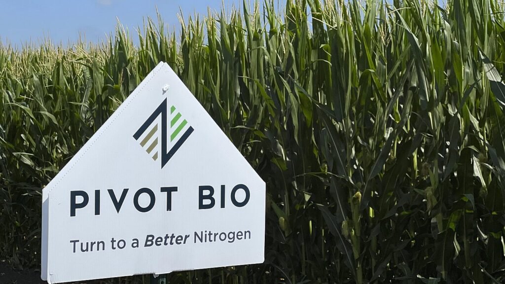 Can microbes supply half a crop’s nitrogen? Pivot Bio thinks so