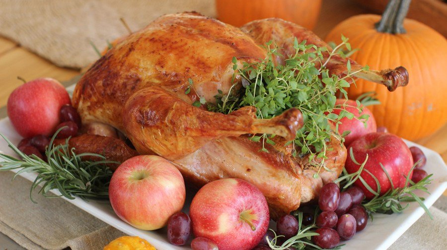 Politics and pumpkin pie: Experts offer tips on navigating table talk at Thanksgiving