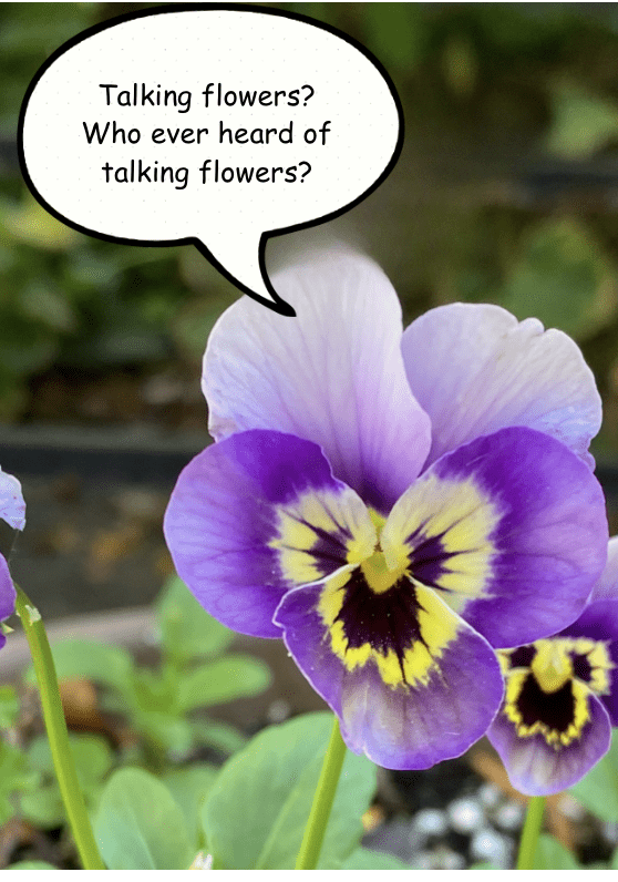 Overheard in a Flower Garden: Talking Flowers