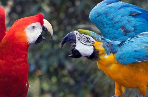 Jesus Brought Division – Luke 12:49-51