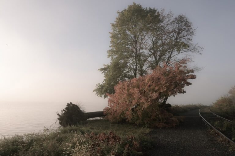  10 Exhibitions to See in Upstate New York This November 