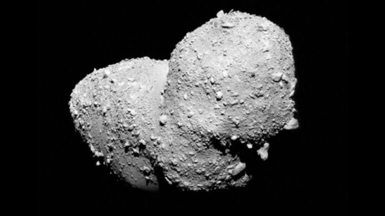 What Tumbling Asteroids Tell Us About Their Innards