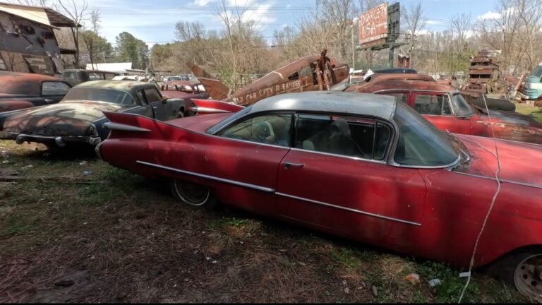 Georgia Is Home To The World's Largest Classic Car Junkyard