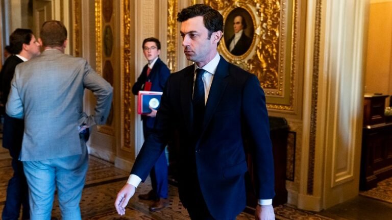 Georgia Democrats see momentum after special elections wins