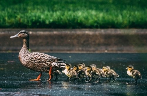 Becoming Like Jesus – Luke 6:40