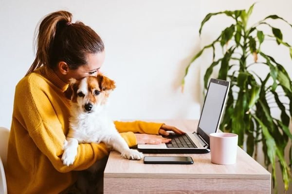 The 7 Best Online Vet Services for UK Pet Parents in 2025 – Reviews & Top Picks