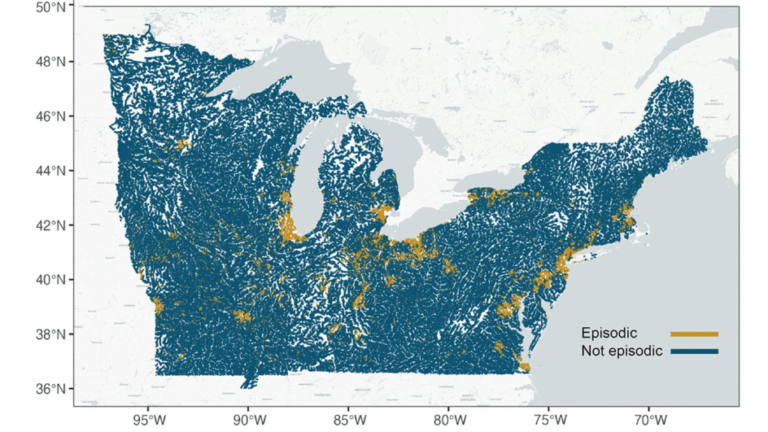 Episodic Tales of Salt  