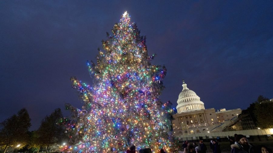 Watch live: Johnson hosts annual Capitol Christmas Tree lighting ceremony